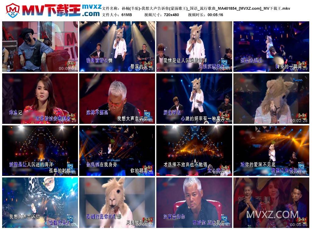 孙楠(羊驼)-我想大声告诉你(蒙面歌王)_国语_流行歌曲_MA401854